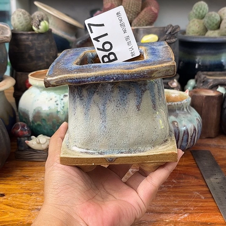 重庆小燕子欢迎大家617