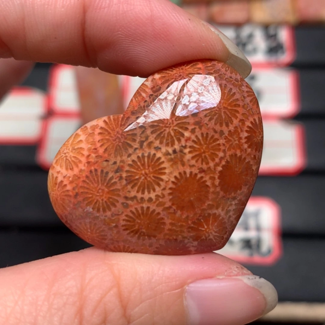 【闪购商品】硅化玉颈饰未镶嵌北*