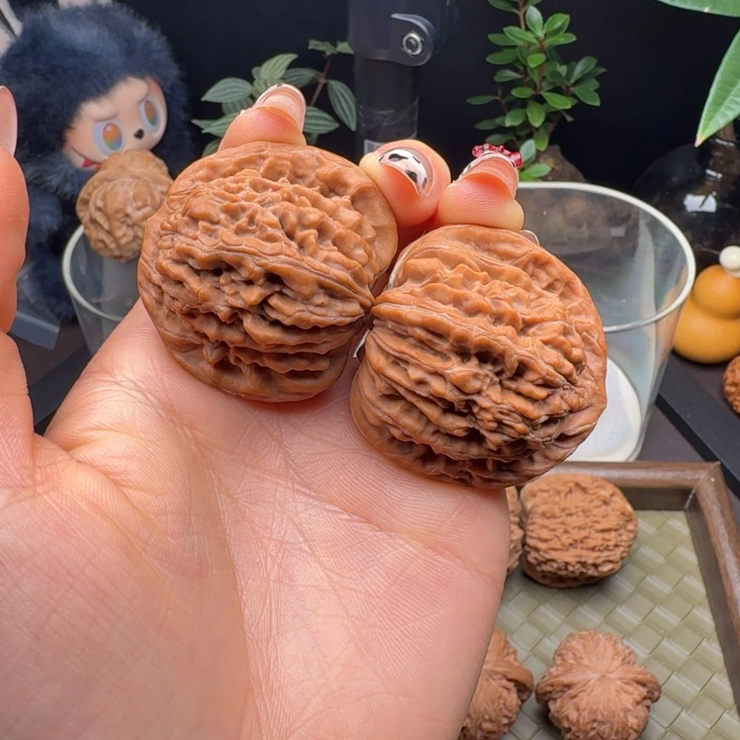 把件龙脊菩提全品四座楼41