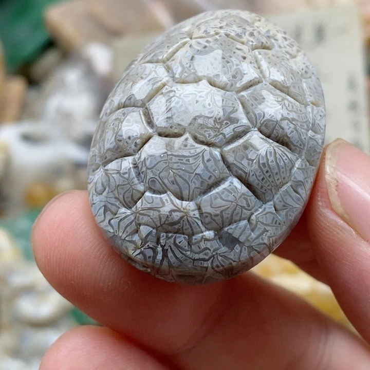 硅化珊瑚（珊瑚玉）未镶嵌颈饰