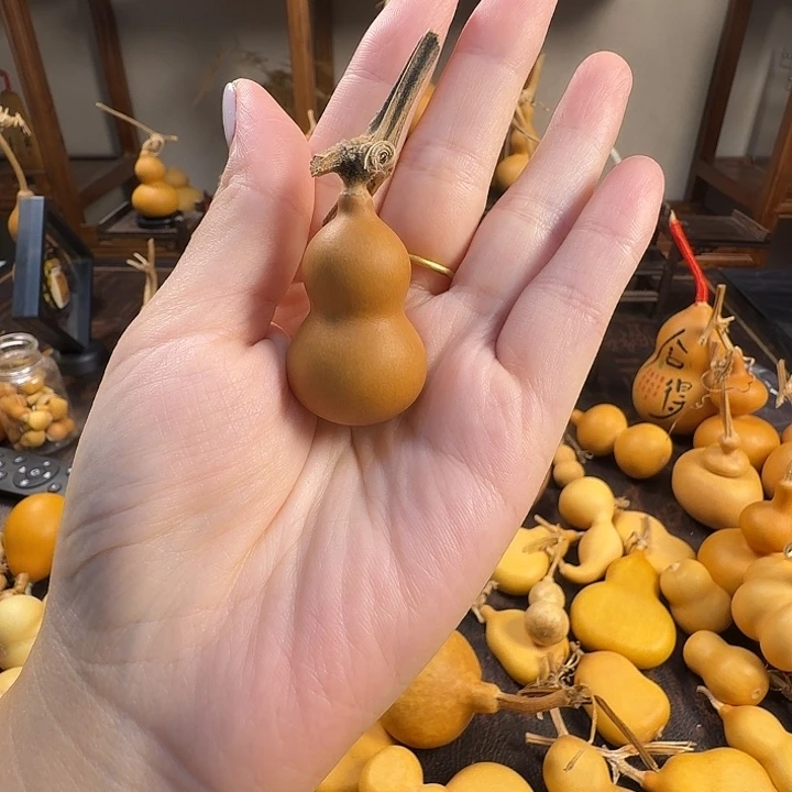 精品草里金奶嘴八宝一枚