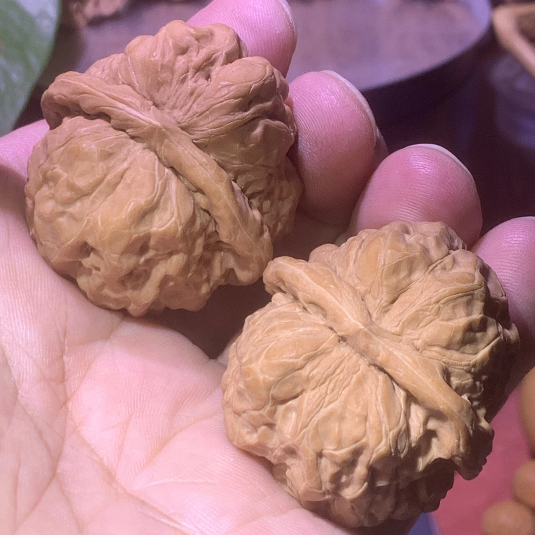 金蟾蛤蟆头:皮质坚韧如蜡,经过盘玩后,皮色会变得格外美丽动人。