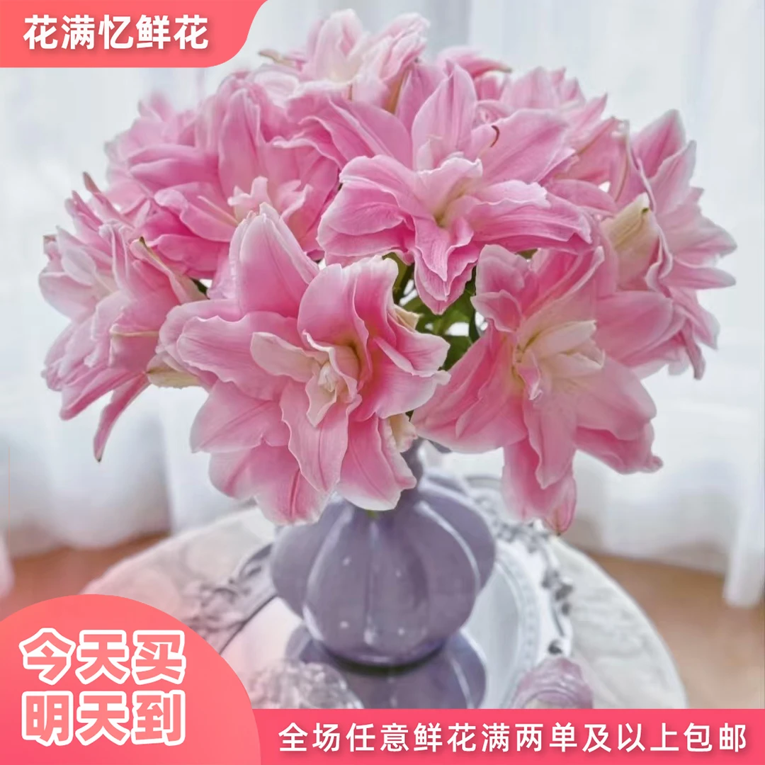 次日达-【重瓣百合】3支重瓣百合鲜花家居花鲜切直播任意两单升级顺丰包邮三单送随机花瓶一个今天拍明天到