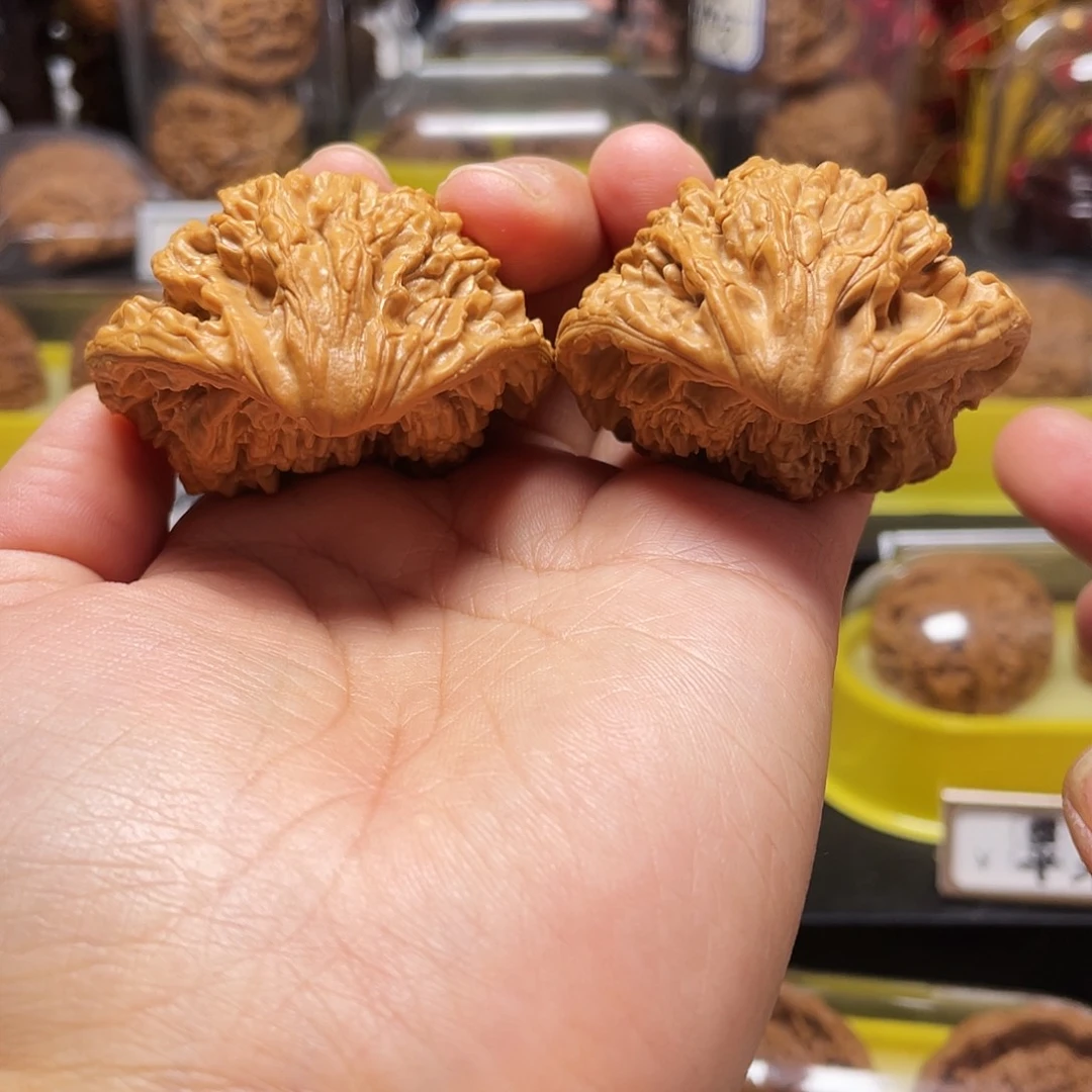 木质鹰嘴50大尺寸89988