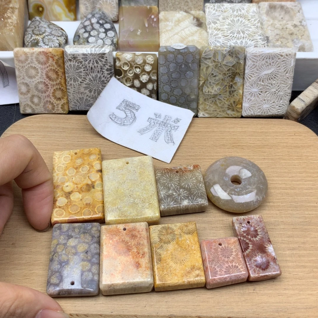 *****硅化珊瑚（珊瑚玉）未镶嵌