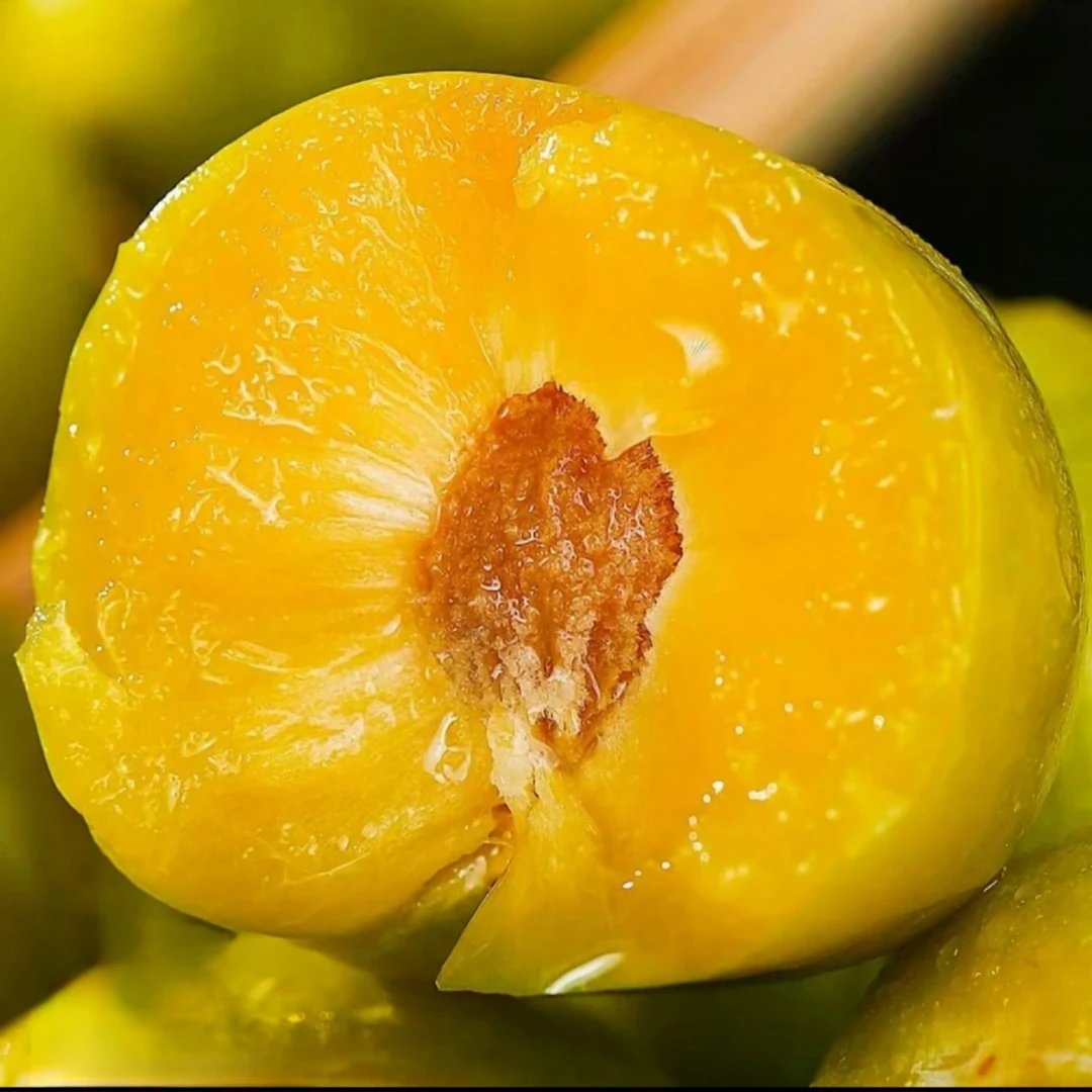 贵州蜂糖李现摘现发5斤新鲜脆甜李子当季孕妇水果