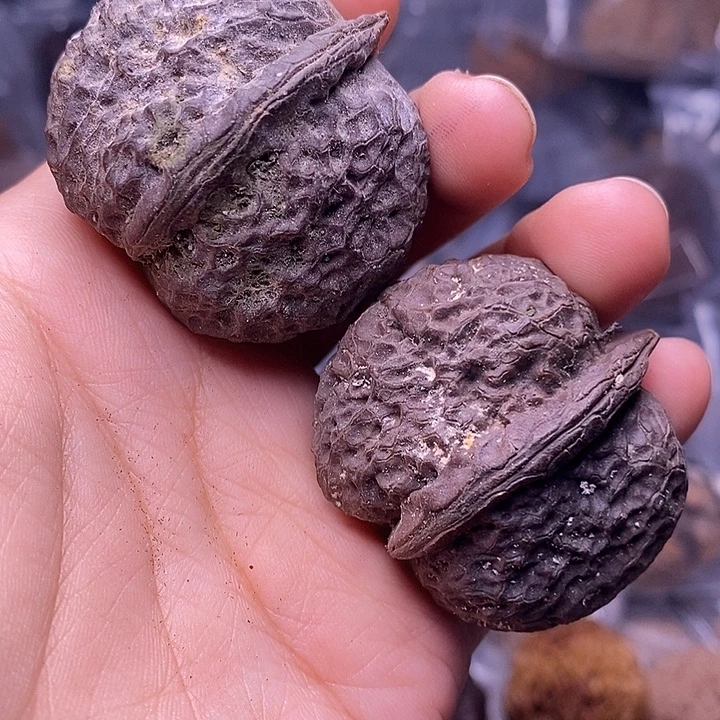 文玩核桃把件   14