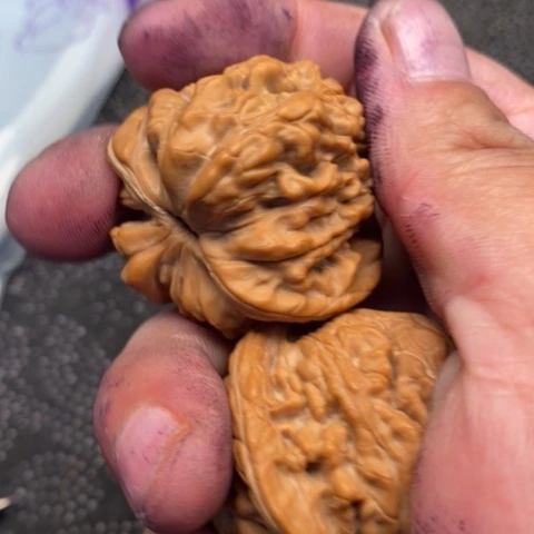 文玩核桃把件西楼10米