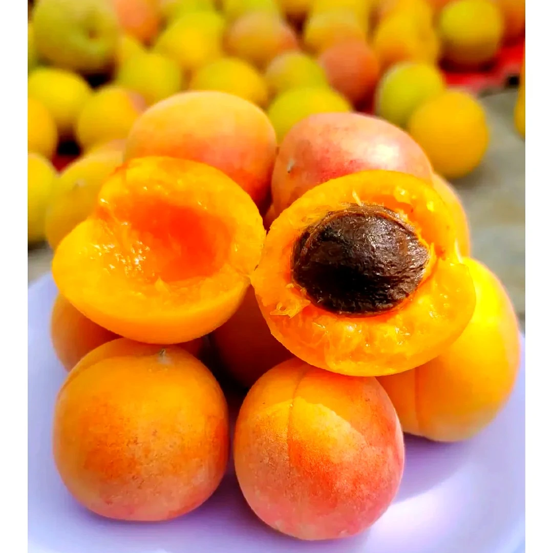 新疆吊干杏（一斤）杏同城配送杏子同城送