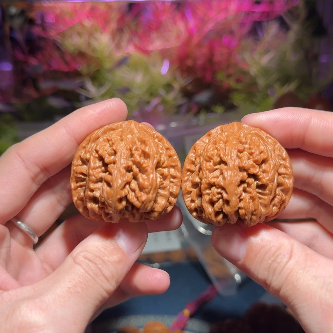 376号44平谷粗筋文玩核桃