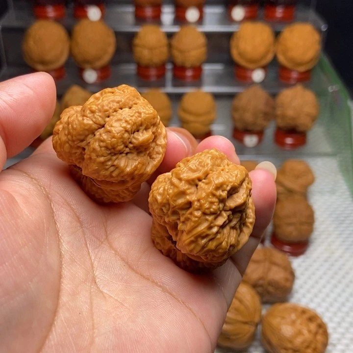 把件文玩核桃帝王蟾20