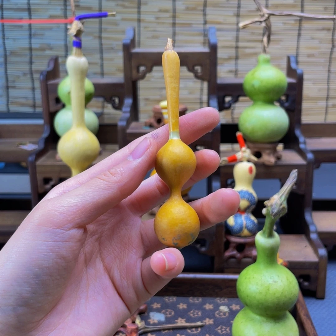 M***G我是一只小小鸟地域鬼