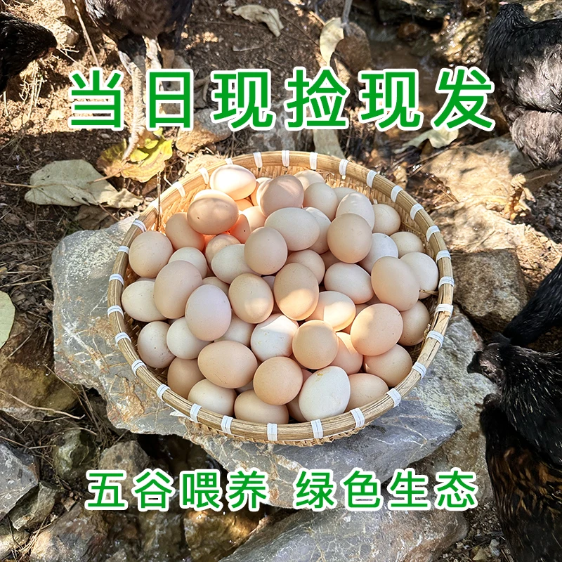 【海霞专属】沂蒙山土鸡蛋 原生态高山散养草鸡蛋柴鸡蛋