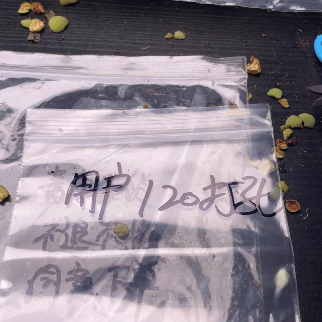 【闪购商品】核桃其他青皮发货不退不换800