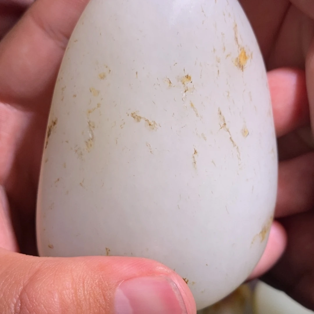 壹***劉定制和田玉未镶嵌1