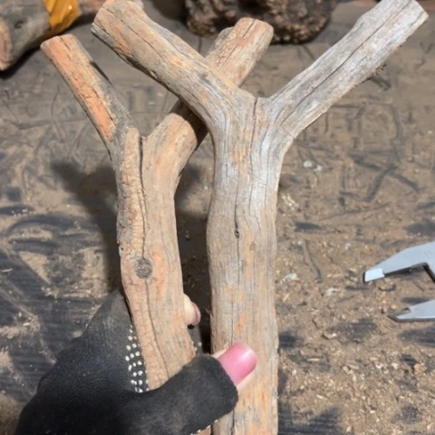 大果紫檀（缅甸花梨）.****