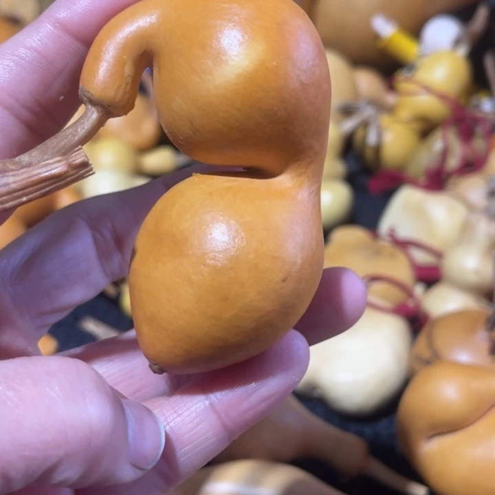 心***晴葫芦哈哈哈哈哈哈哈哈