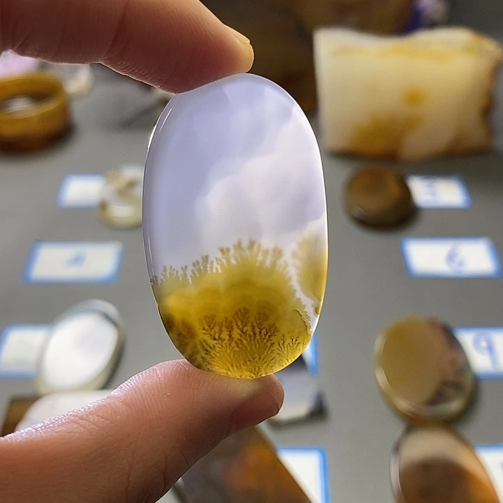 玛瑙/玉髓未镶嵌珠宝半成品203