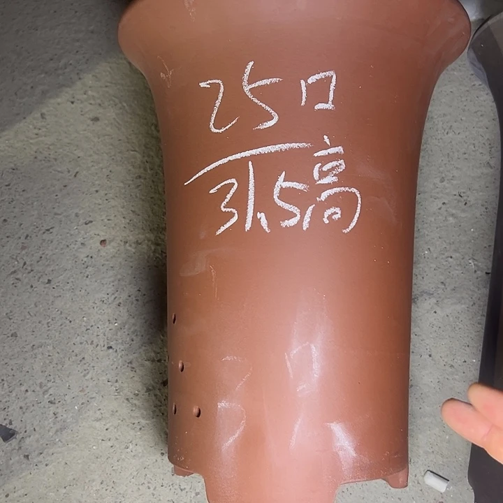 周深周深周深周深