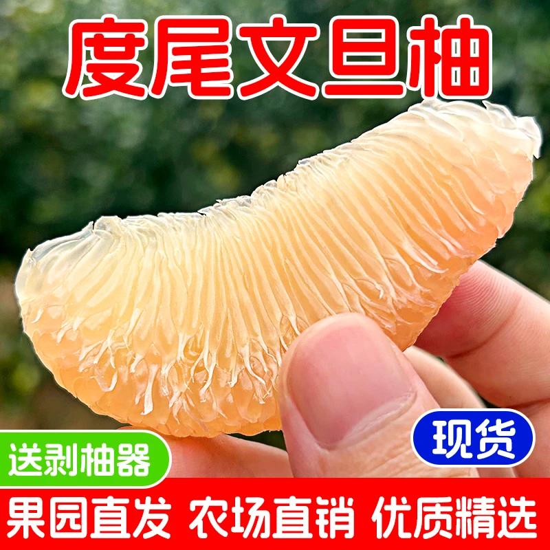 家福农场 仙游度尾红心文旦柚新鲜现摘中秋国庆节礼品水果 20斤装