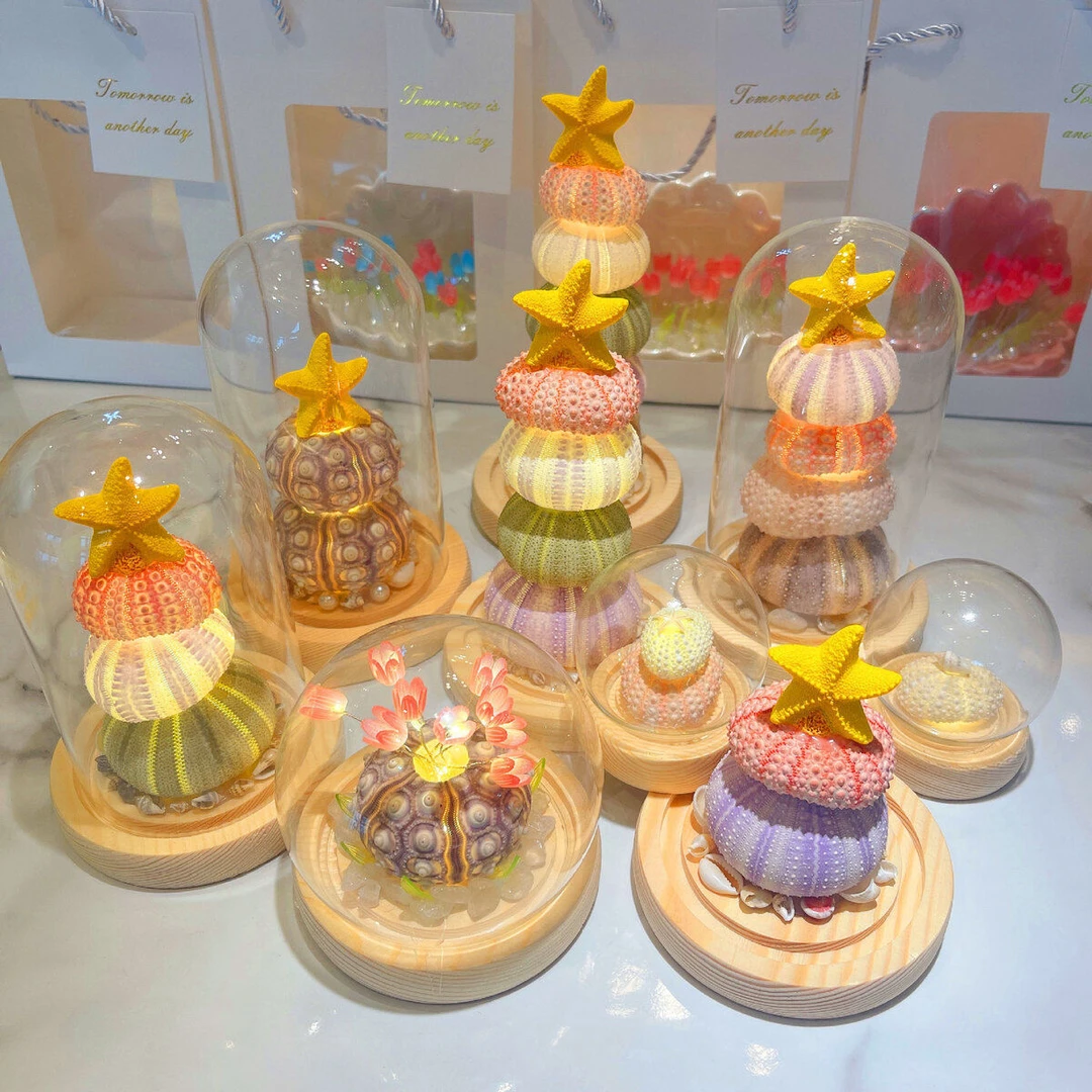 ins创意摆件贝壳手工diy海胆壳小夜灯材料包520情侣装饰礼物LQ