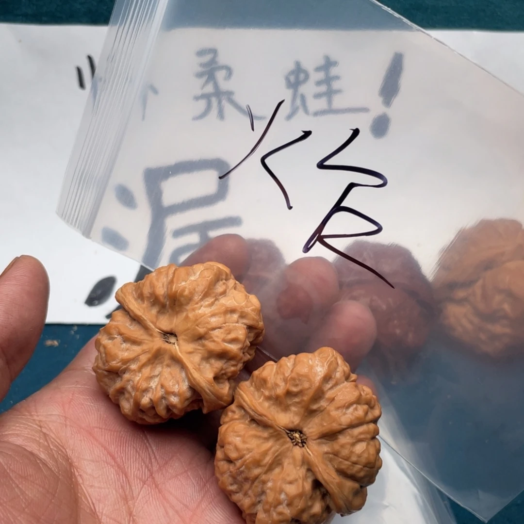 核桃.56765567573537753537