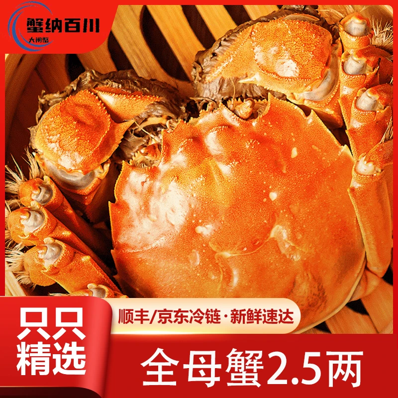 【活蟹】蟹纳百川大闸蟹 母蟹2.5两 5对10只装 顺丰冷链空运包邮