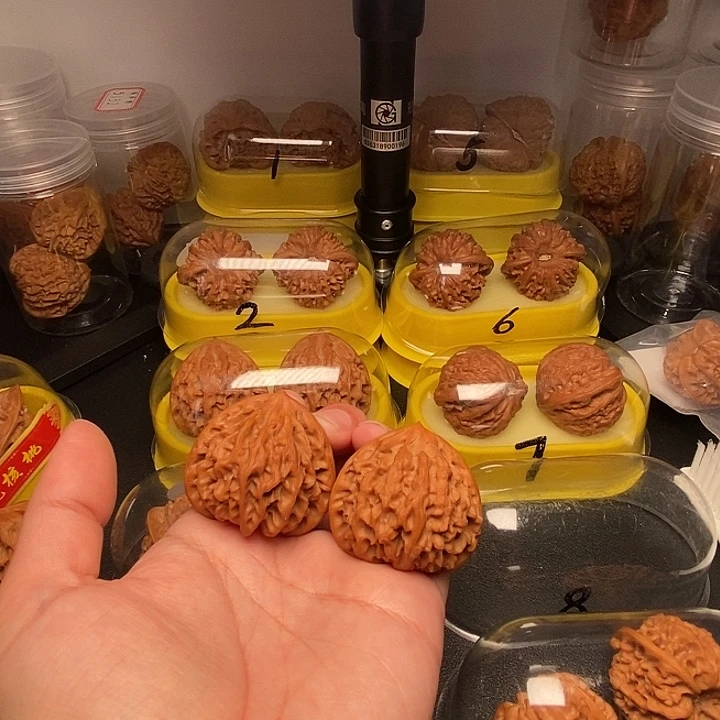 闪***手42满肉龙门涧   三角