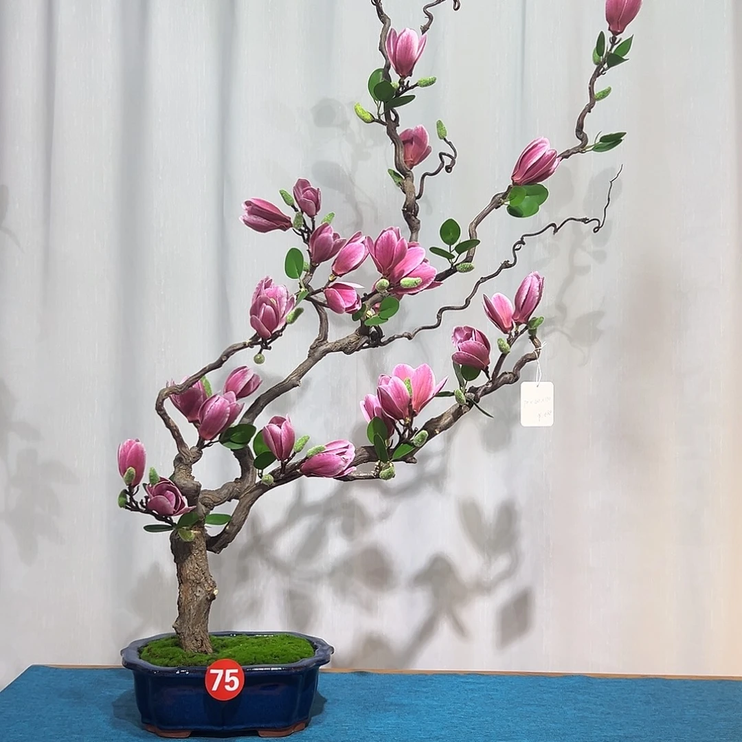 藤木仿真花真根一物一拍