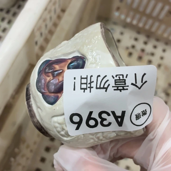 茶具微暇，介意勿拍