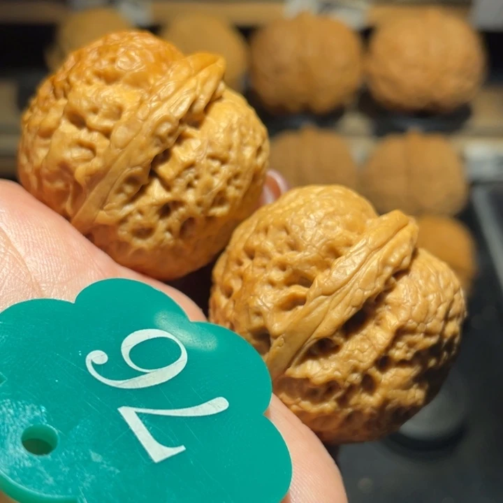 好***u铁锤妹妹核桃尺寸36