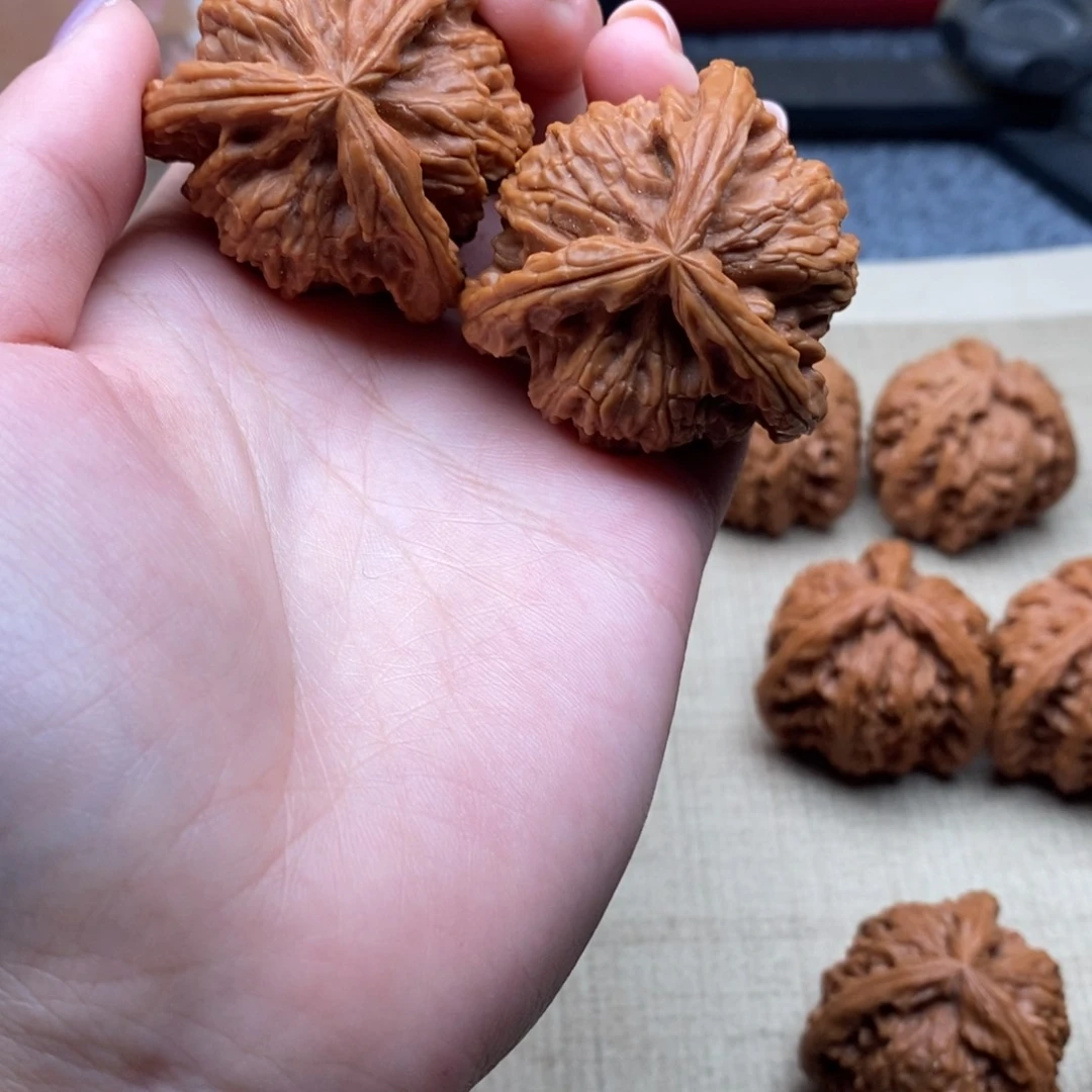 ?**?白狮子1111111111