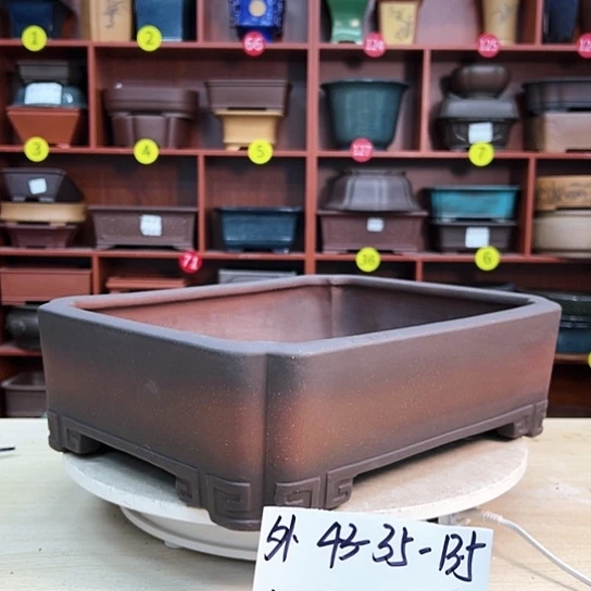 红陶半**生紫砂花盆里放上