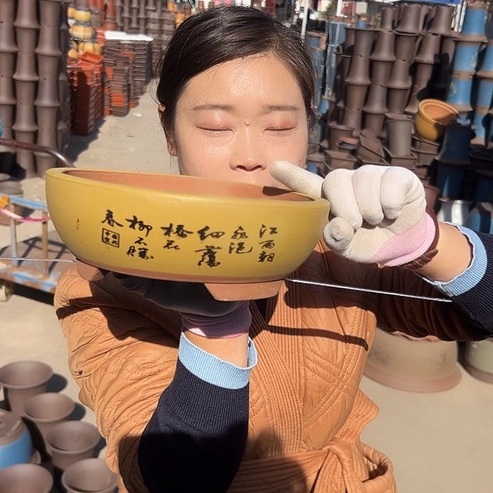 小***鱼黄色江山如画小一个花盆花盆花盆