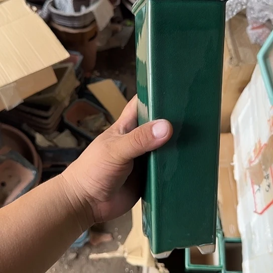是一个集休闲农业的休闲旅游项目的开发