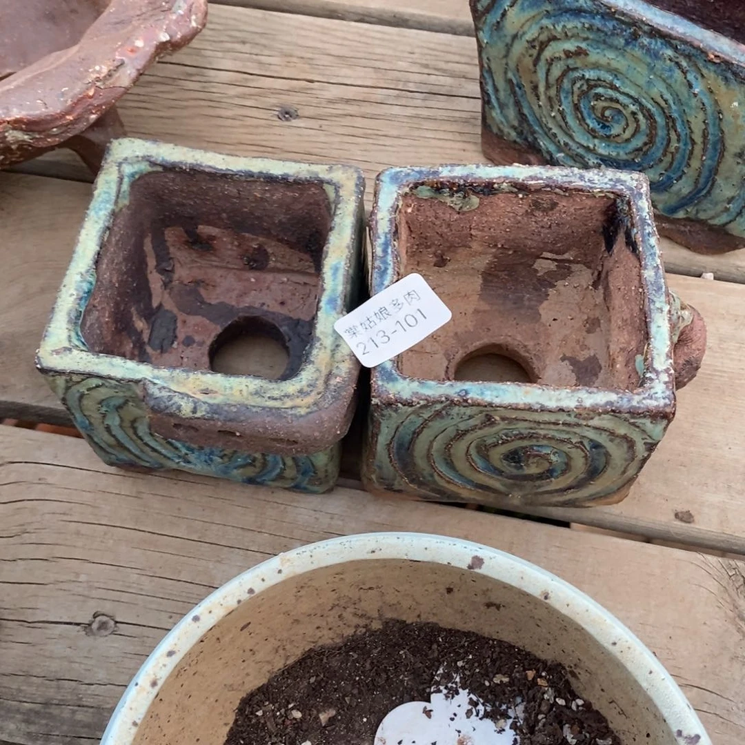 红陶老*101号多肉盆两个