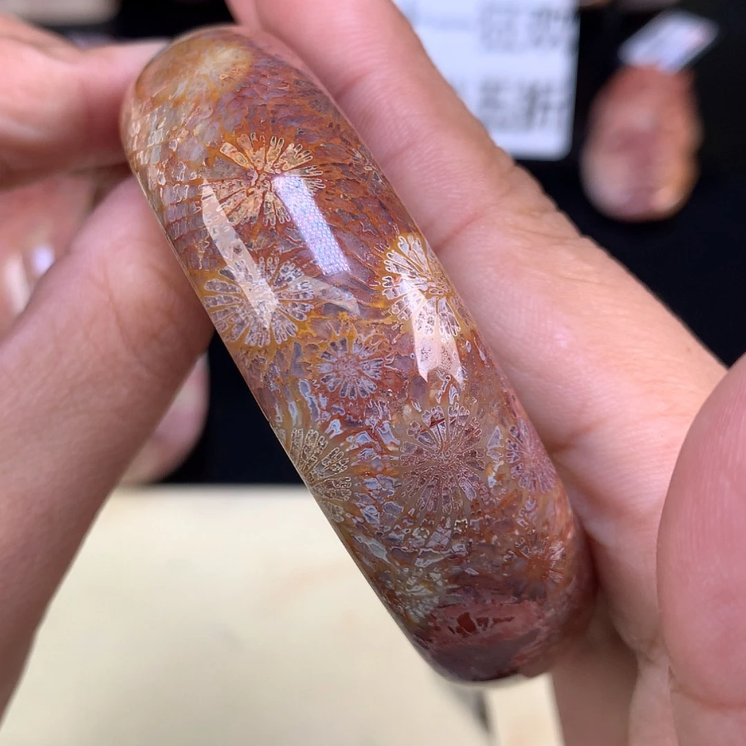 【闪购商品】颈饰未镶嵌硅化珊瑚（珊瑚玉）28号精美手镯59.8