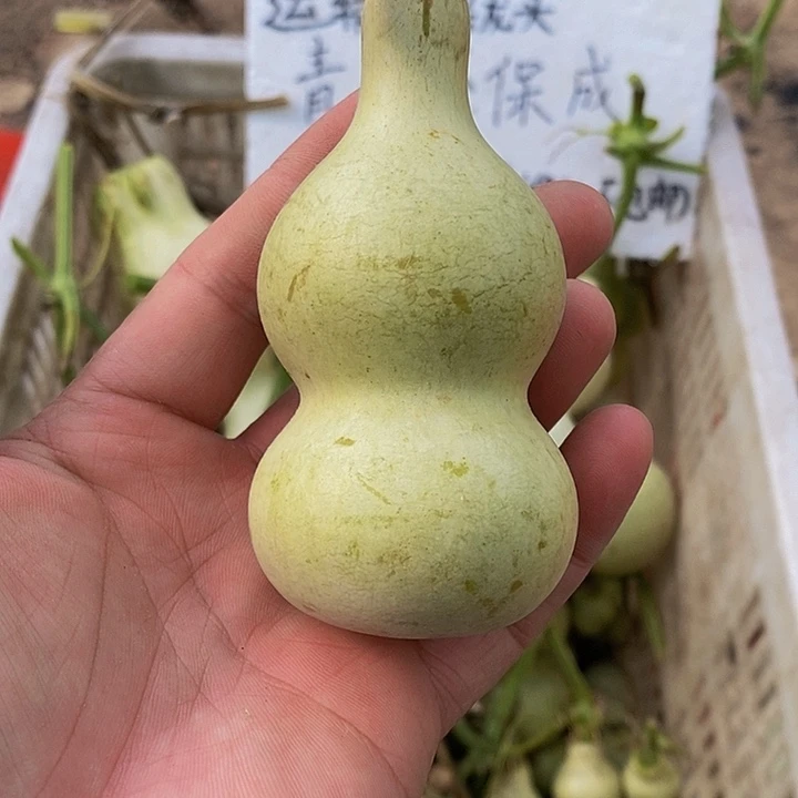 P****e哈哈哈哈哈哈哈哈哈哈