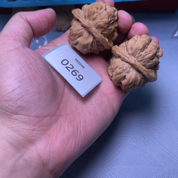 文玩核桃把件43蛤蟆