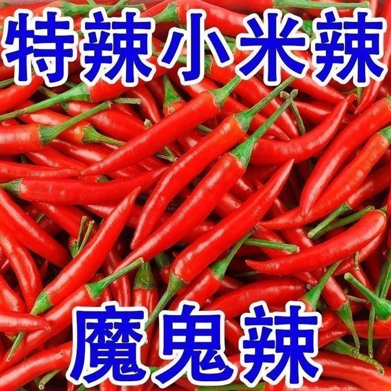 云南现摘小米辣鲜椒特辣新鲜魔鬼辣椒泡椒朝 天椒整箱红辣椒批发