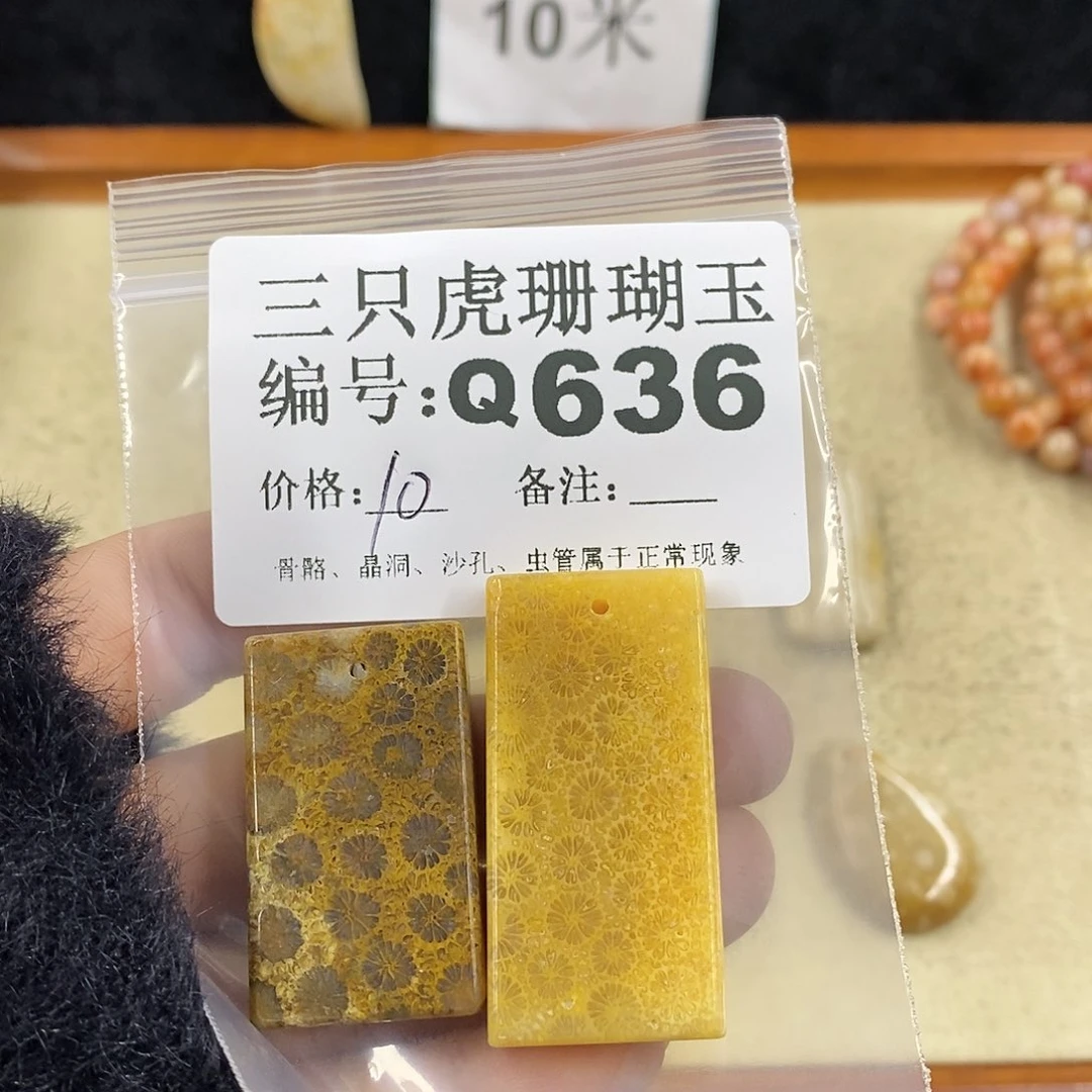 硅化珊瑚（珊瑚玉）1未镶嵌G**a