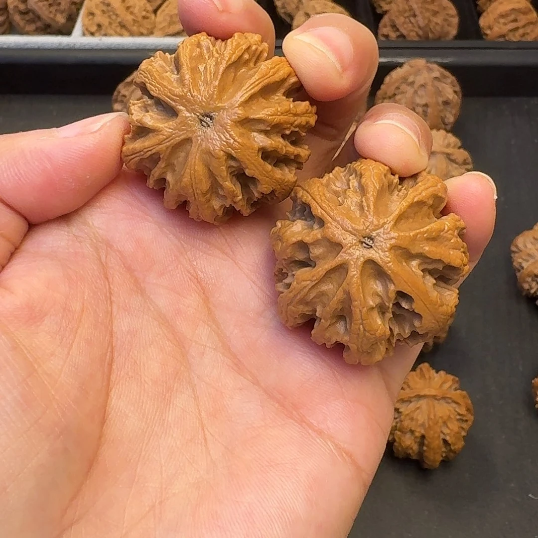 核桃突突突突突突突突突突突