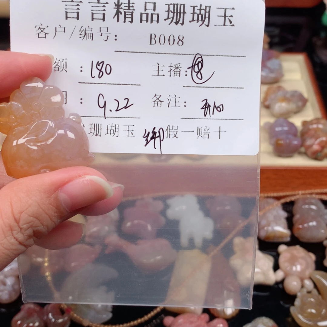 健***心未镶嵌颈饰硅化玉