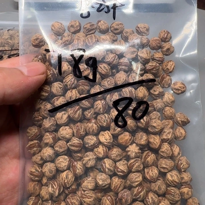 柏香籽/百香籽吊坠我***摇