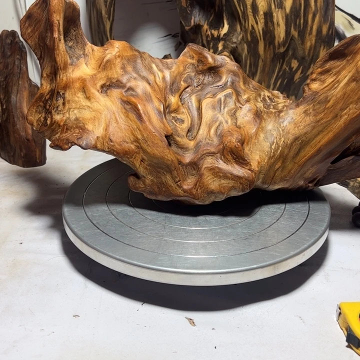 中***灸木一物一拍238摆件