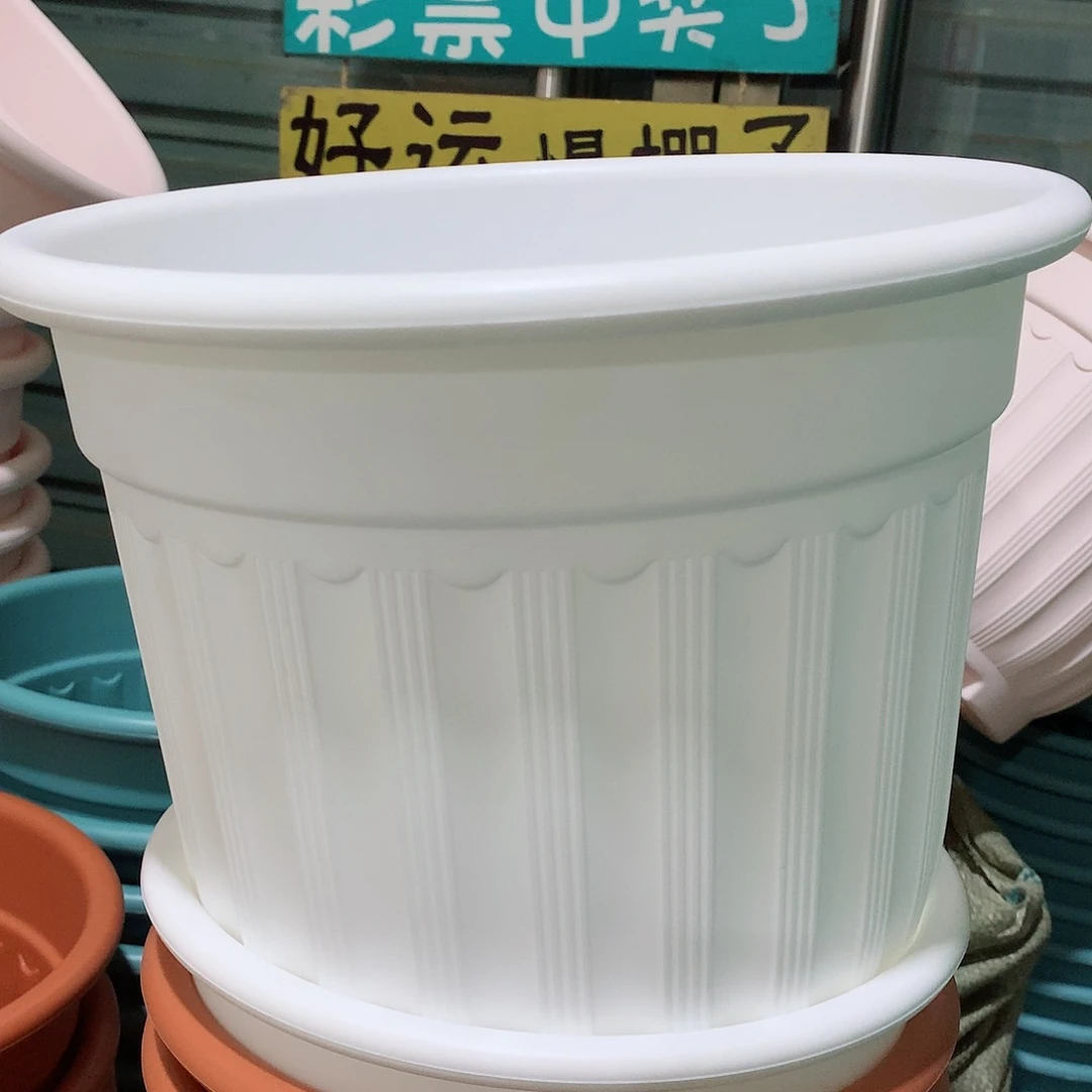 树脂罗马口28白4个无托