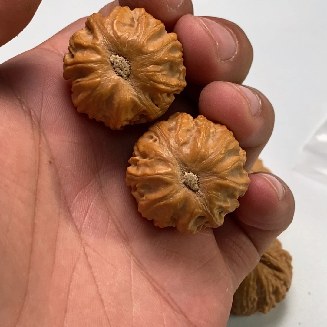 文玩核桃把件至尚孤品文玩直播