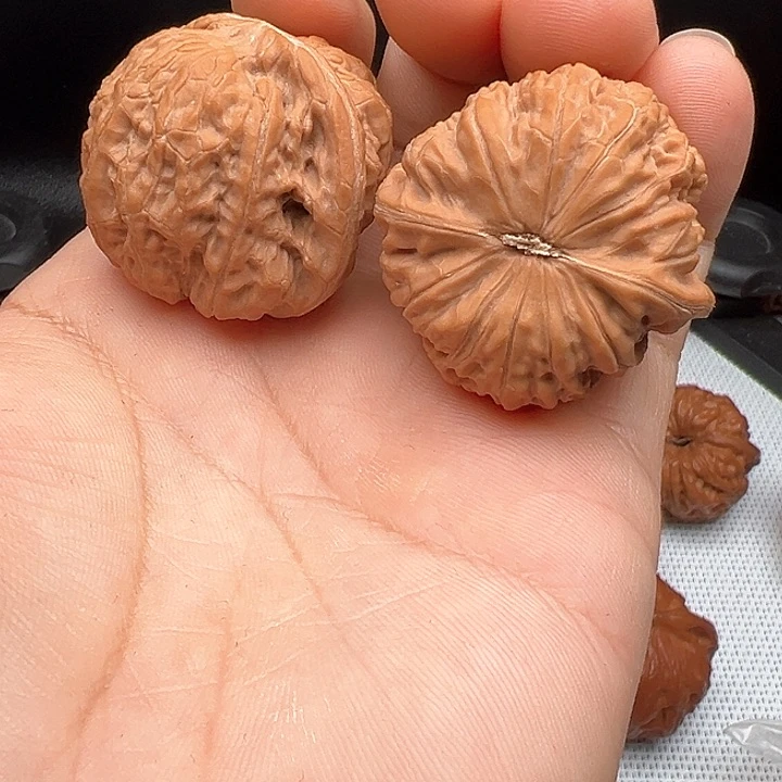 文玩核桃把件随**散黑马