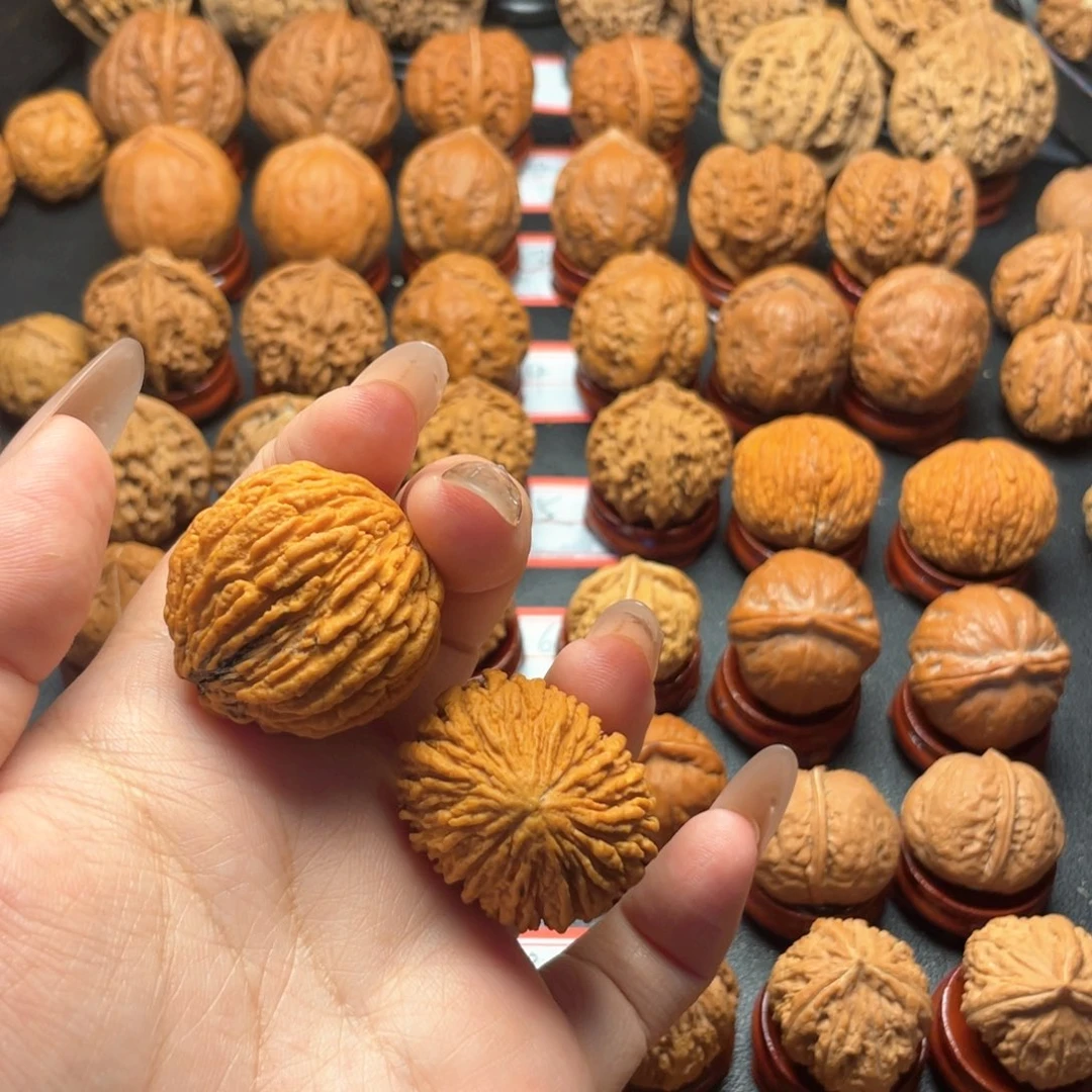 黑***）核桃。。。。。。。。。。。。