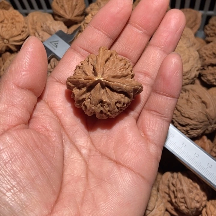 荆***鸟核桃宫灯三棱尺寸40有黄